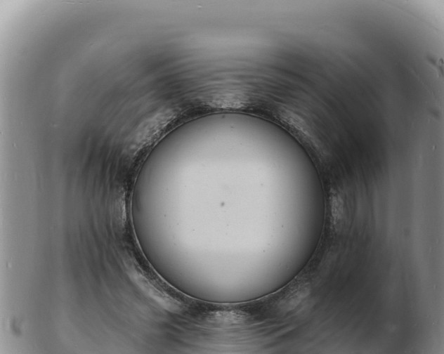 X0000103300541200809051525