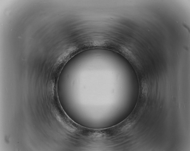 X0000103300542200809051525