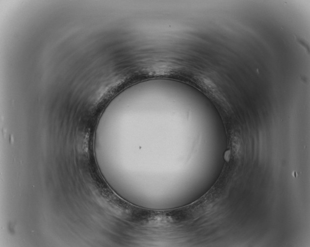 X0000103300543200809051525