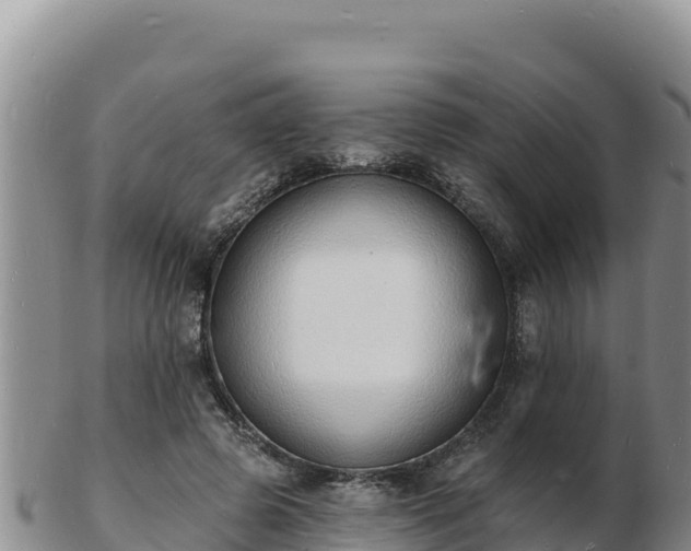 X0000103300545200809051525