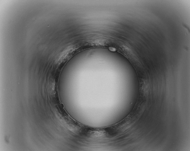 X0000103300548200809051525