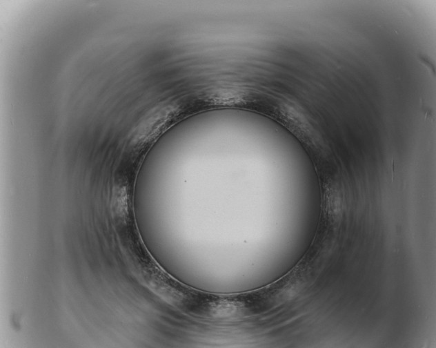 X0000103300549200809051525