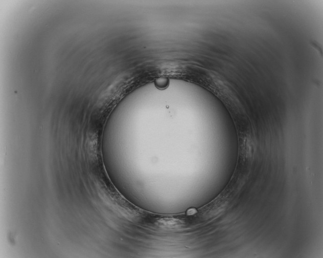 X0000103300557200809051525