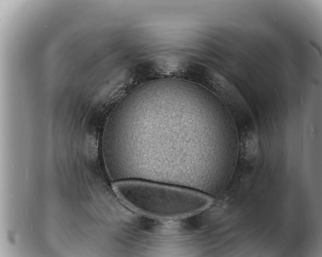 X0000103300558200809051525