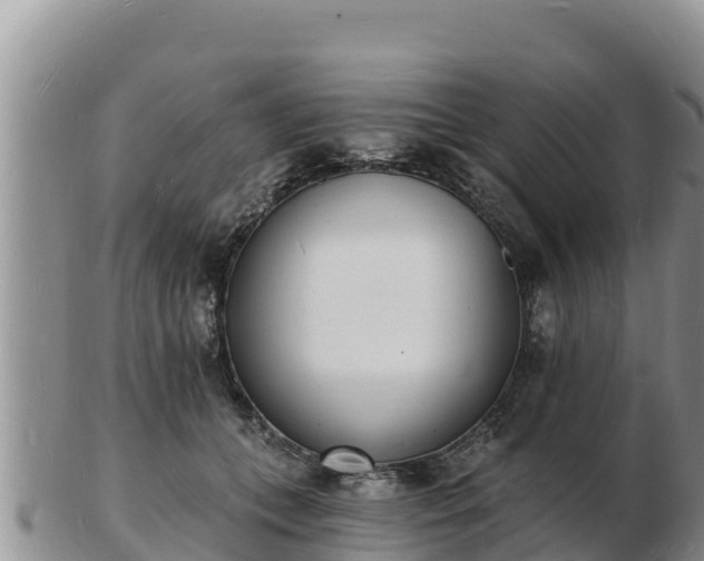 X0000103300559200809051525