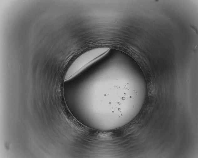 X0000103300560200809051525