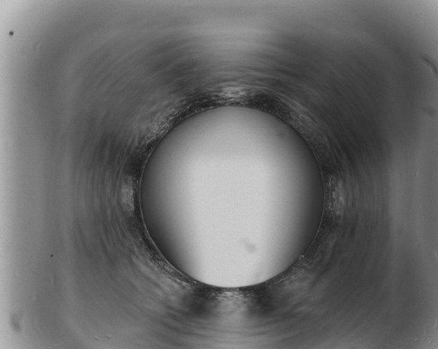 X0000103300562200809051525