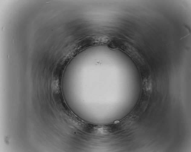 X0000103300564200809051525