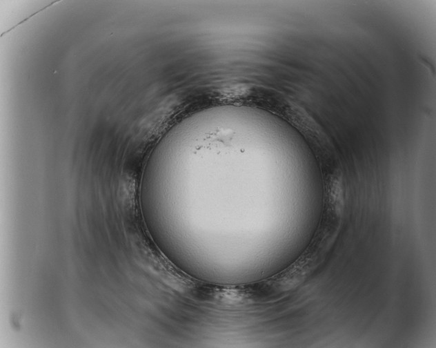 X0000103300565200809051525