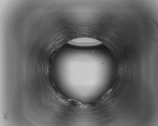 X0000103300566200809051525