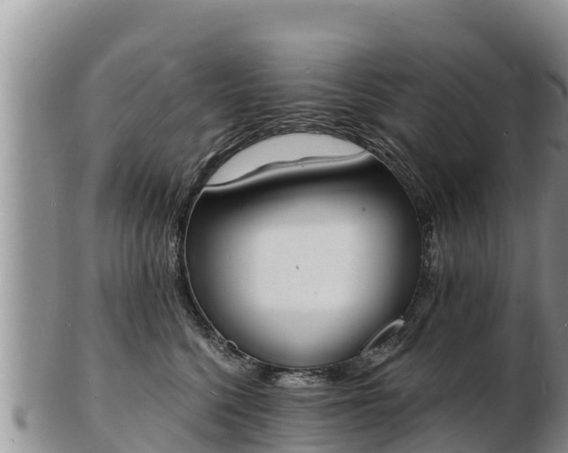 X0000103300568200809051525