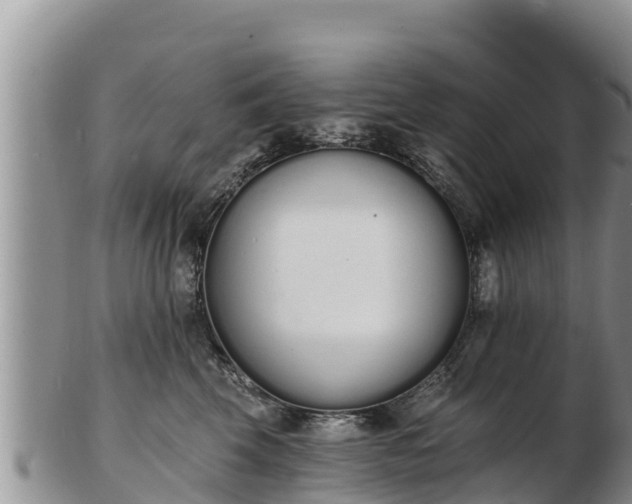 X0000103300569200809051525