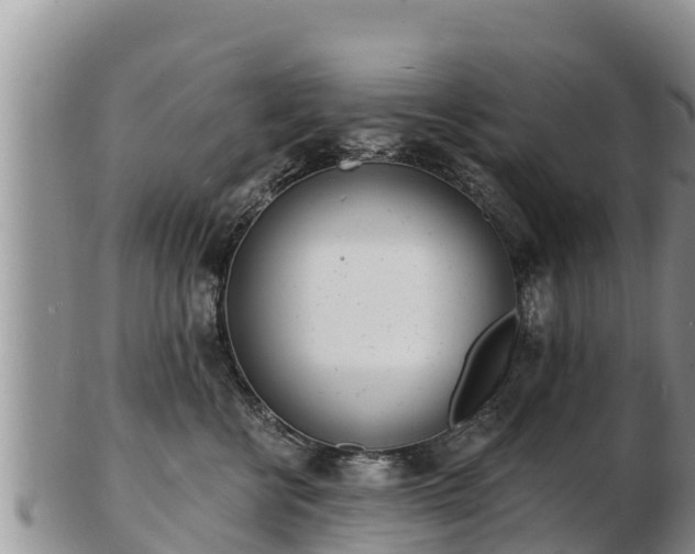 X0000103300570200809051525