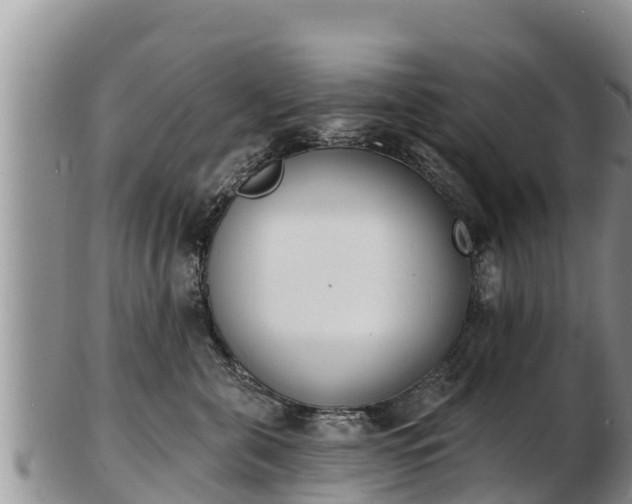 X0000103300571200809051525