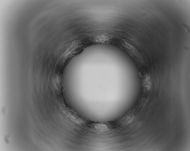 X0000103300572200809051525