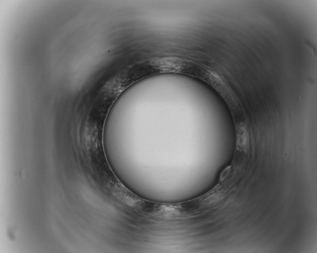 X0000103300573200809051525