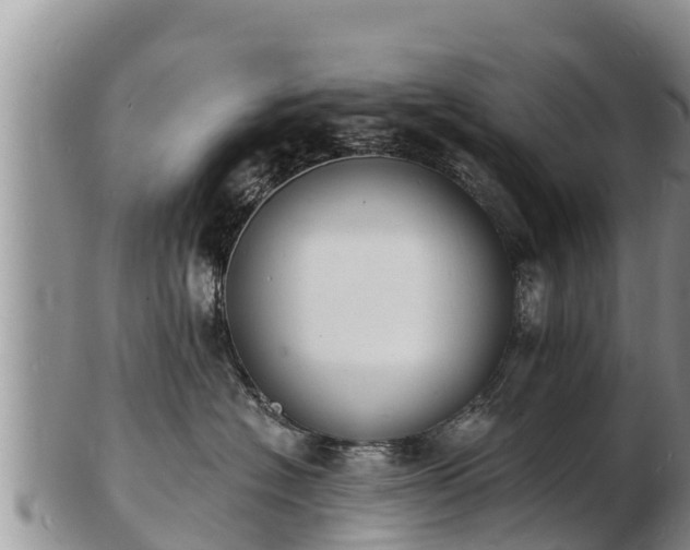 X0000103300574200809051525