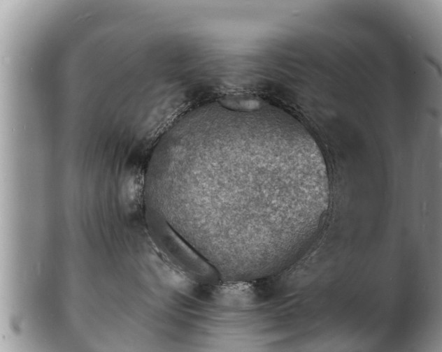 X0000103300576200809051525