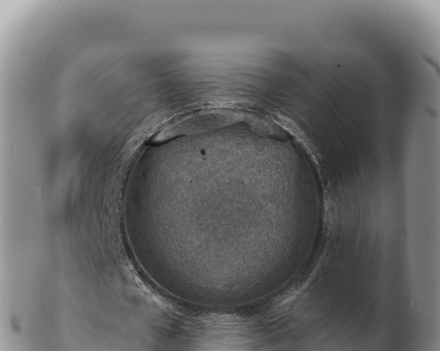 X0000103300577200809051525