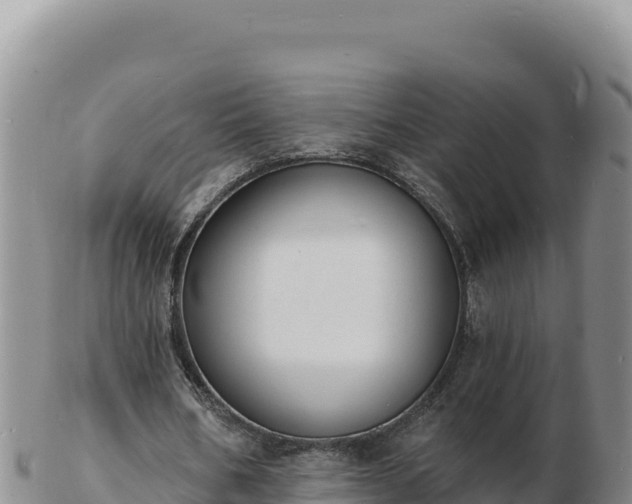 X0000103300578200809051525