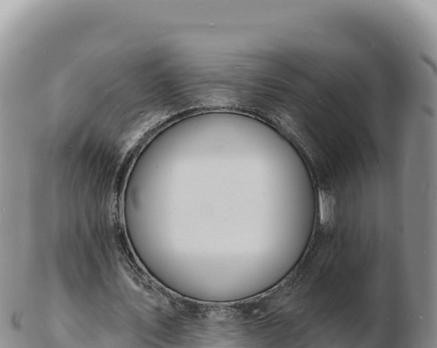 X0000103300579200809051525