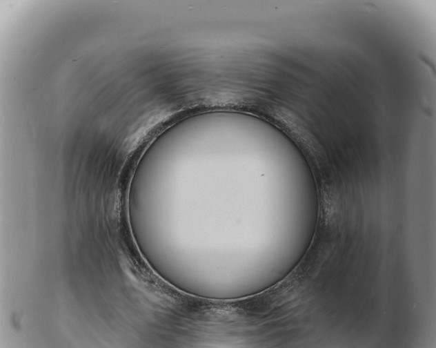 X0000103300583200809051524