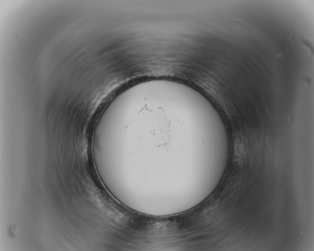 X0000103300584200809051524