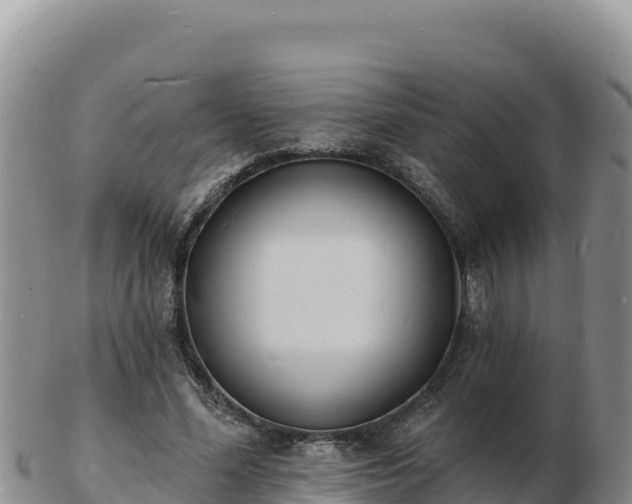 X0000103300588200809051524