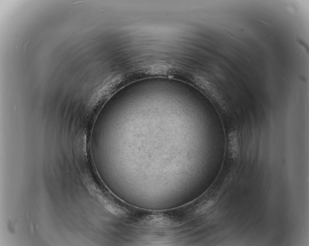 X0000103300589200809051524