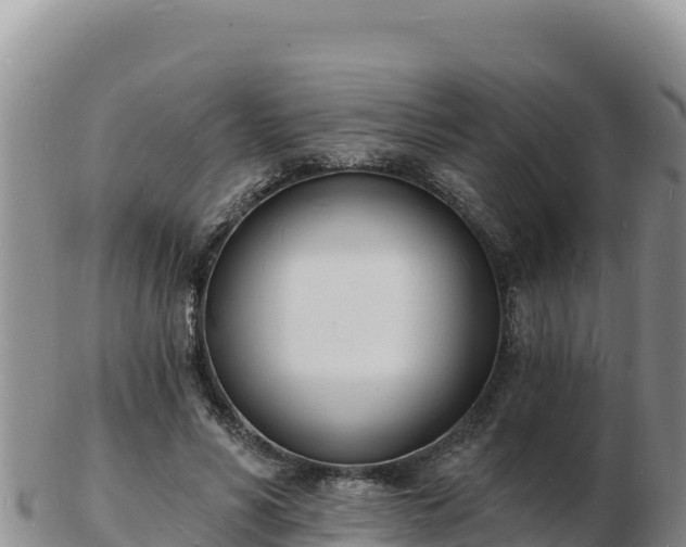 X0000103300590200809051524