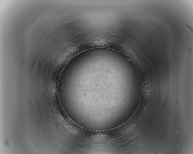 X0000103300593200809051524