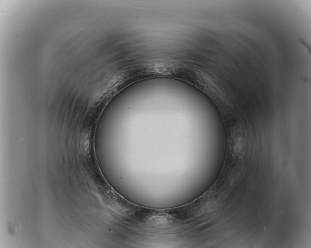 X0000103300595200809051524