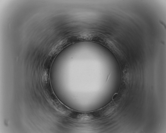 X0000103300597200809051524