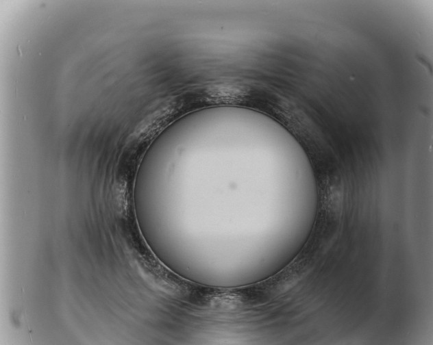 X0000103300599200809051524