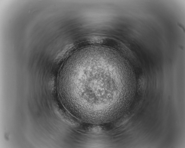 X0000103300600200809051524