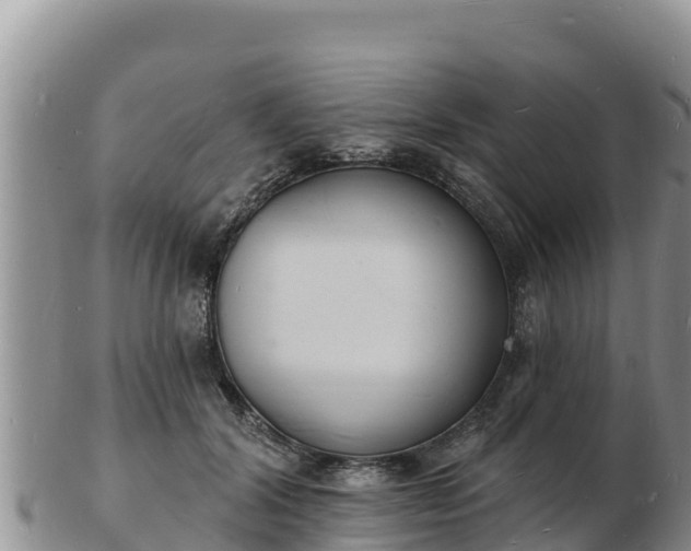 X0000103300604200809051524