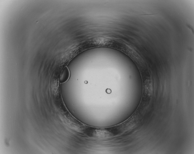 X0000103300605200809051524