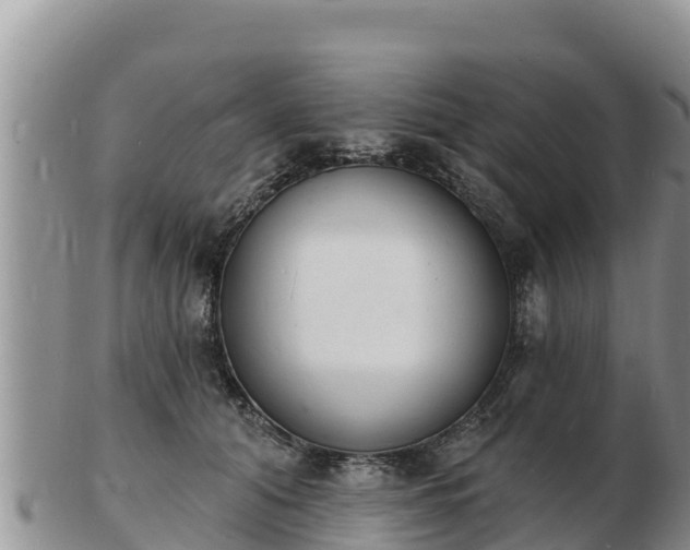 X0000103300608200809051524