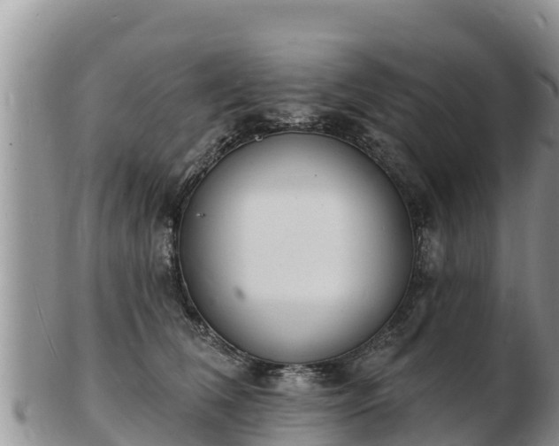 X0000103300612200809051524