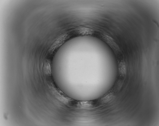 X0000103300622200809051524