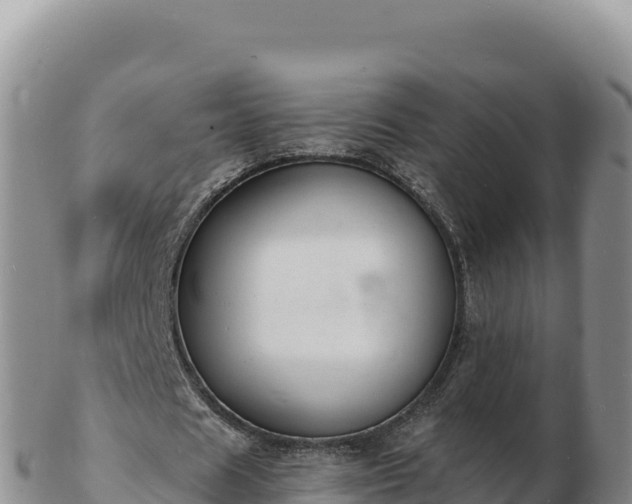 X0000103300625200809051523