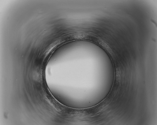 X0000103300626200809051523