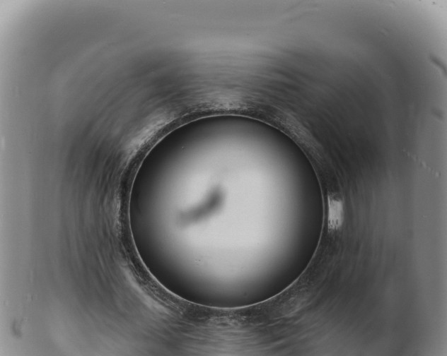 X0000103300627200809051523