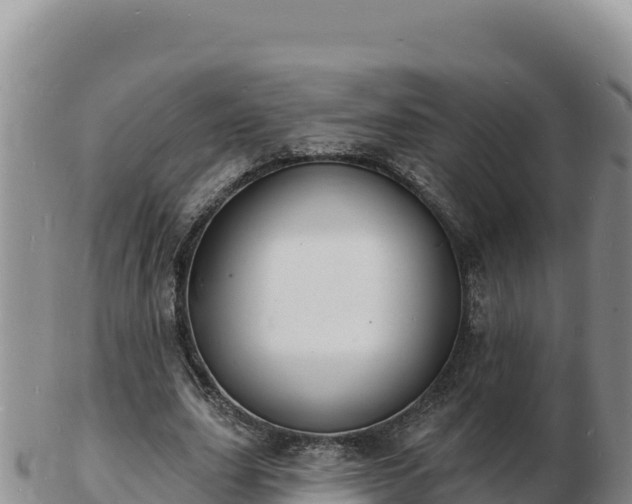 X0000103300631200809051523