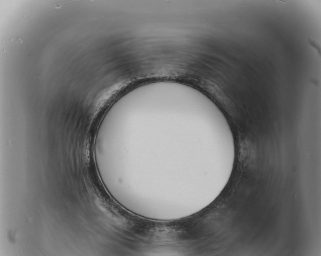 X0000103300632200809051523