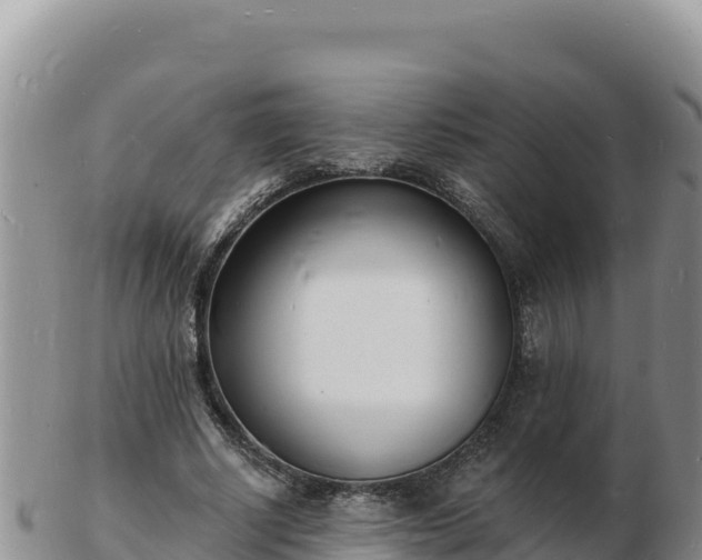 X0000103300634200809051523