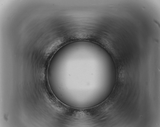 X0000103300635200809051523