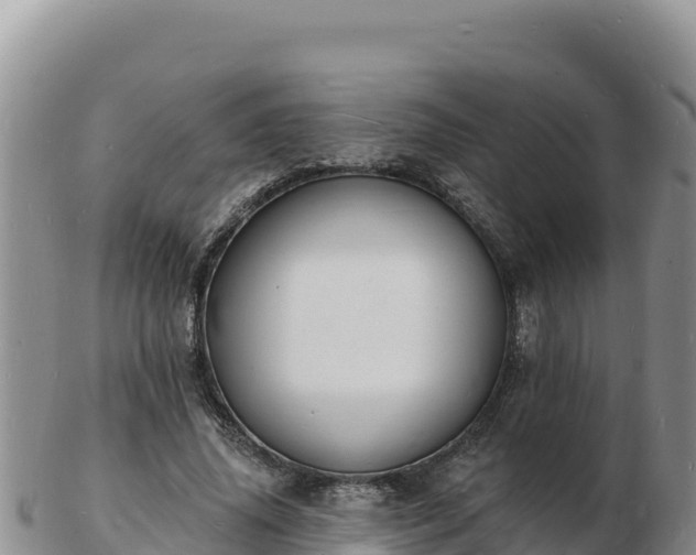 X0000103300636200809051523