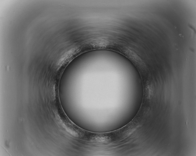 X0000103300638200809051523