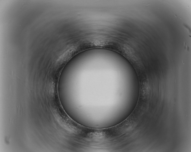 X0000103300639200809051523